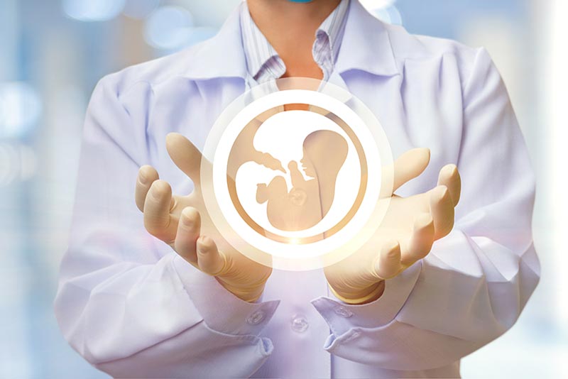 Fertilização / Reprodução Assistida